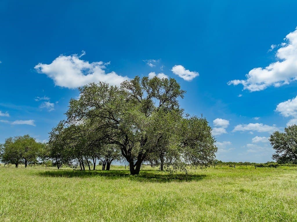 6 acres in Fayette County - photo 13