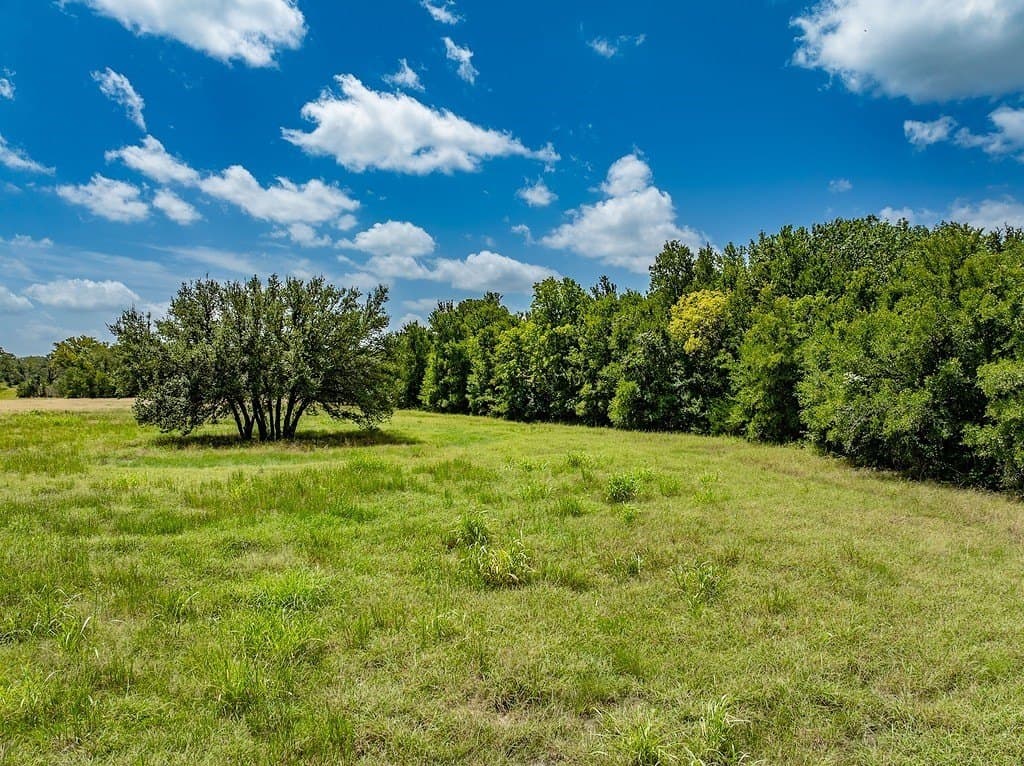 6 acres in Fayette County - photo 5