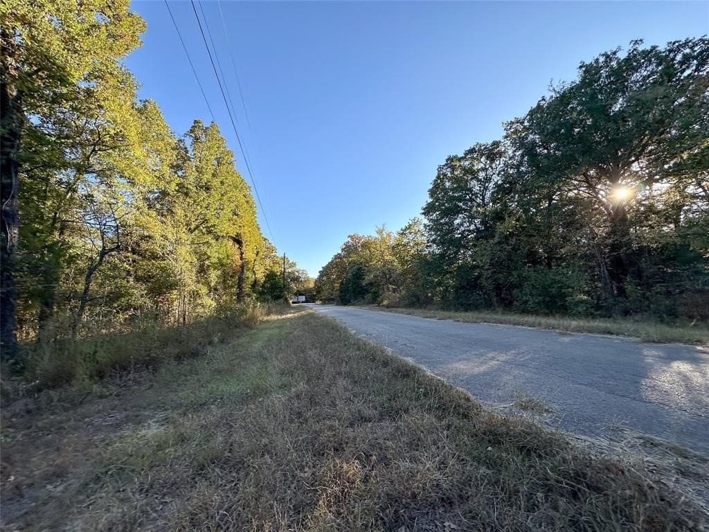 0.12 acres in Henderson County - photo 13