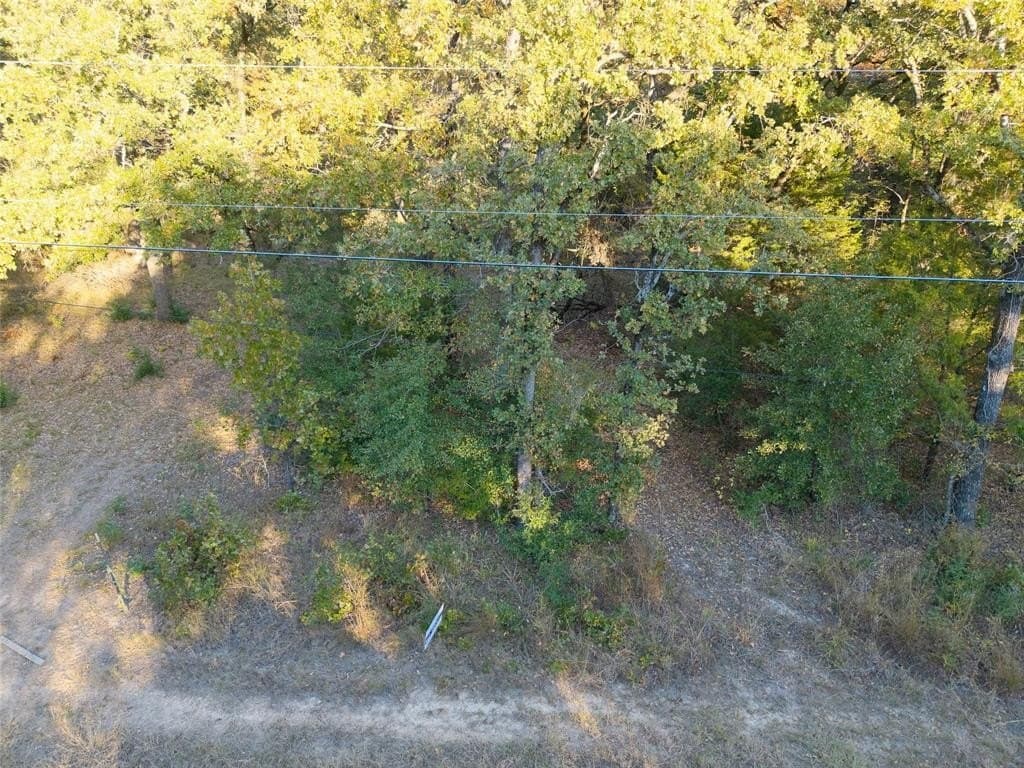 0.12 acres in Henderson County - photo 15