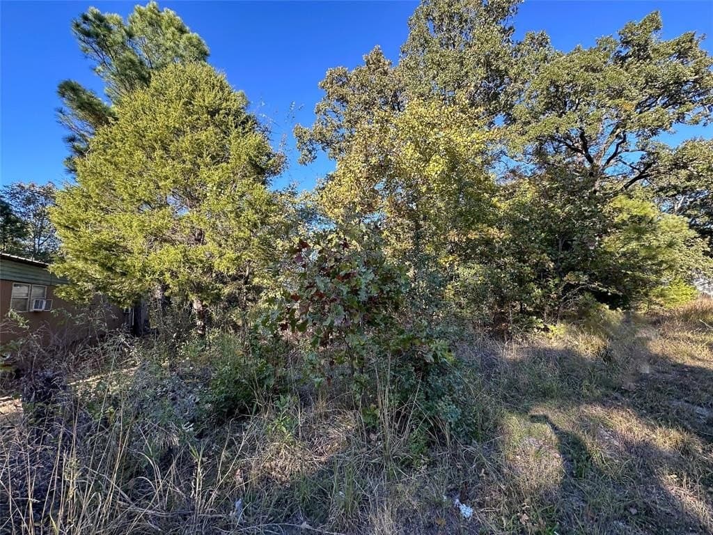 0.12 acres in Henderson County - photo 3