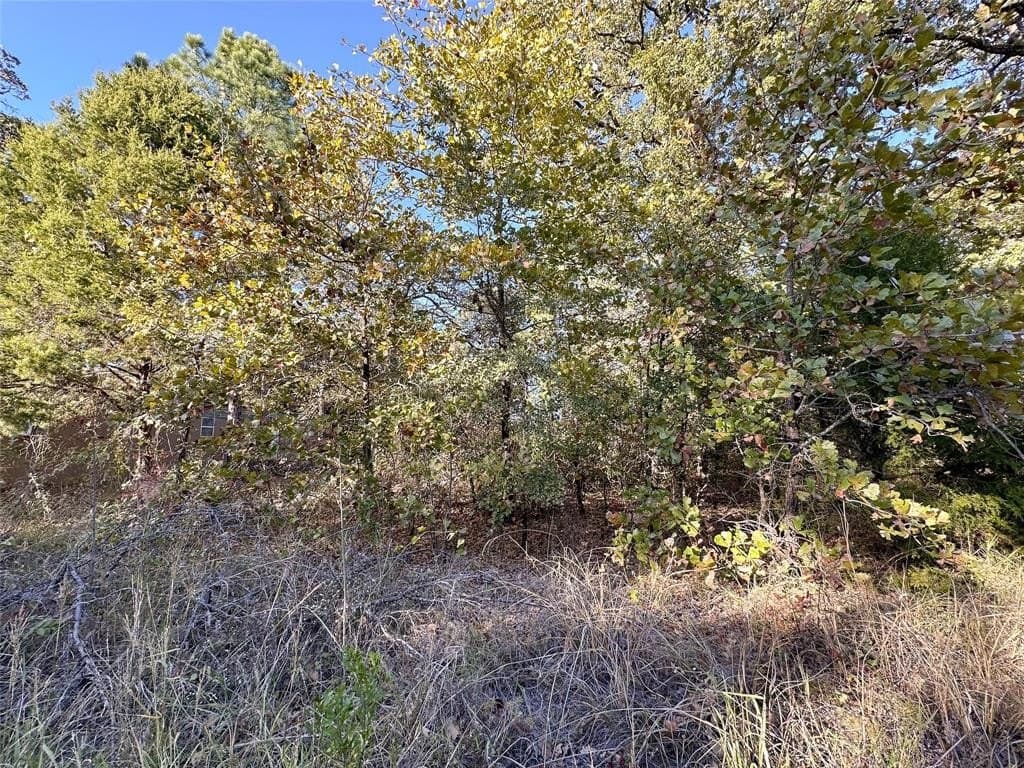 0.12 acres in Henderson County - photo 2