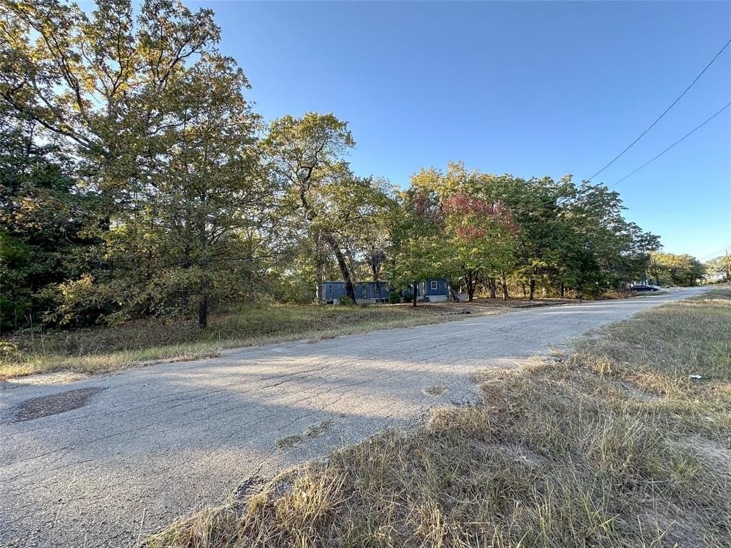 0.12 acres in Henderson County - photo 12