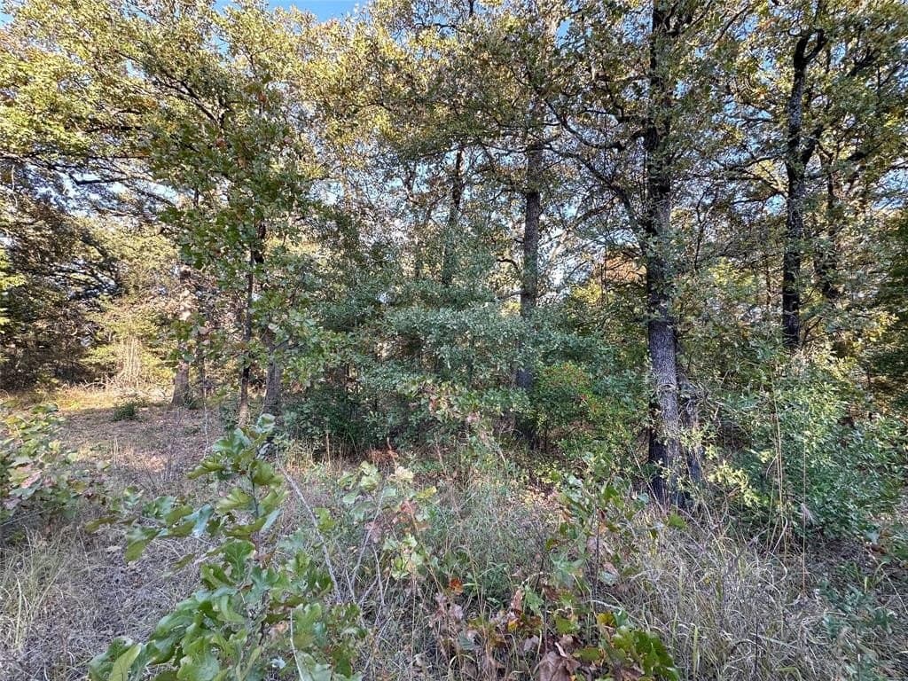 0.12 acres in Henderson County - photo 9