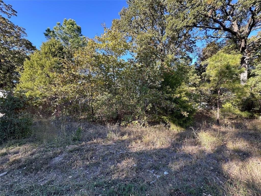 0.12 acres in Henderson County - photo 4