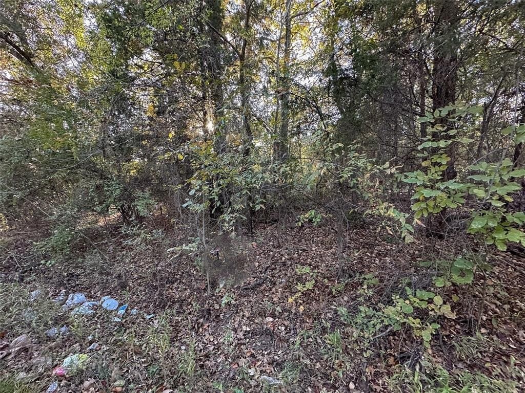 0.12 acres in Henderson County - photo 17
