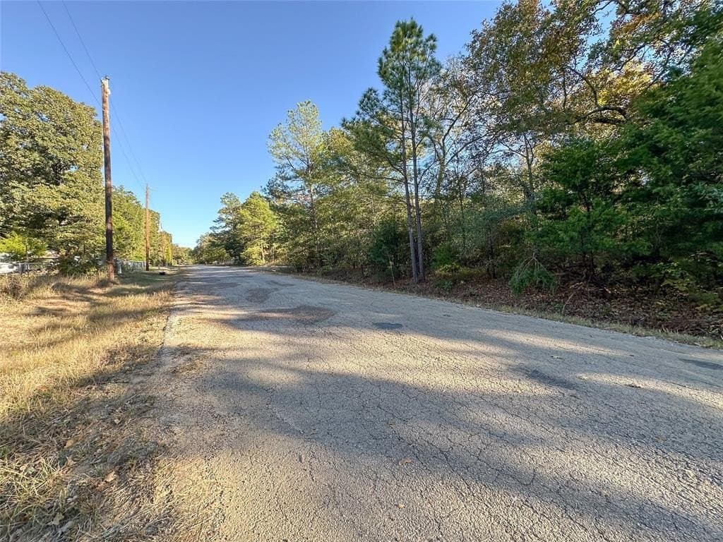 0.12 acres in Henderson County - photo 5