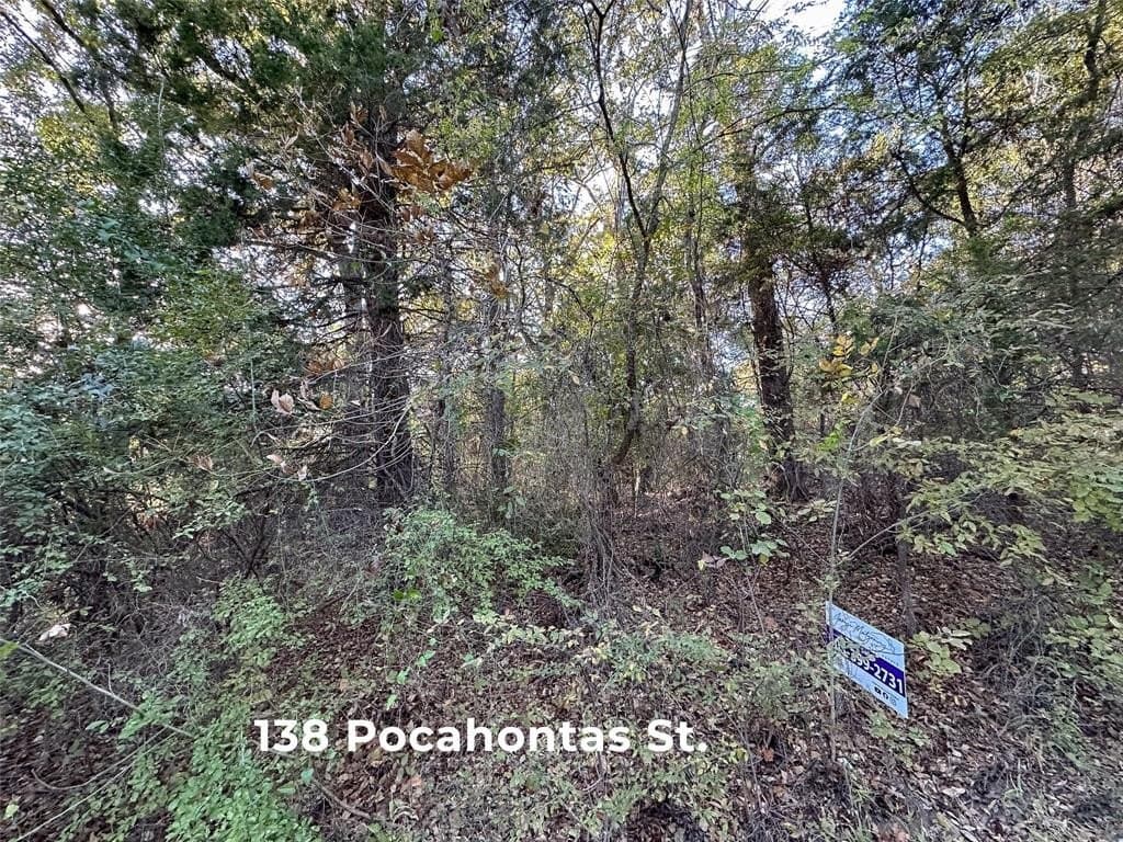 0.12 acres in Henderson County - photo 16
