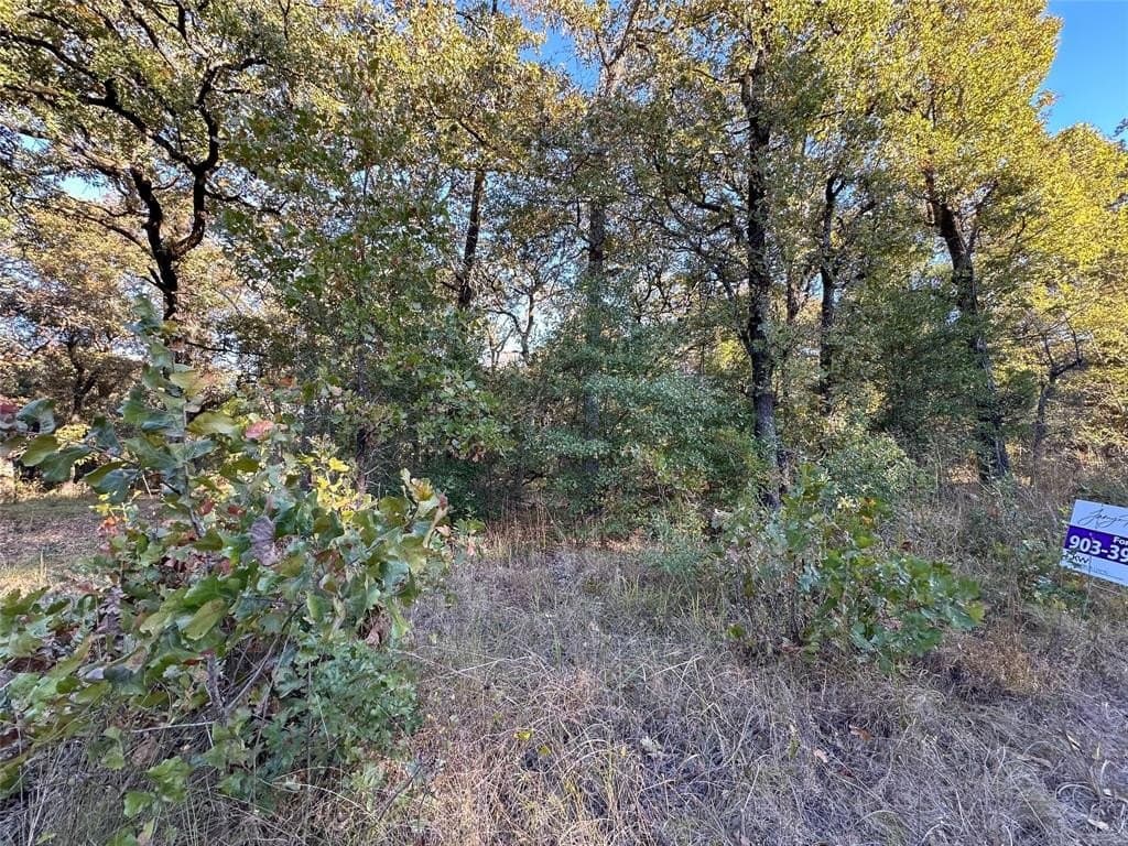 0.12 acres in Henderson County - photo 11