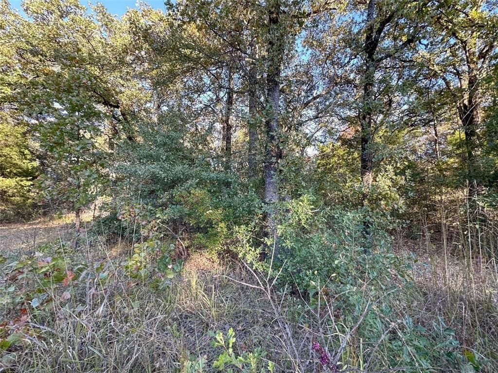 0.12 acres in Henderson County - photo 10