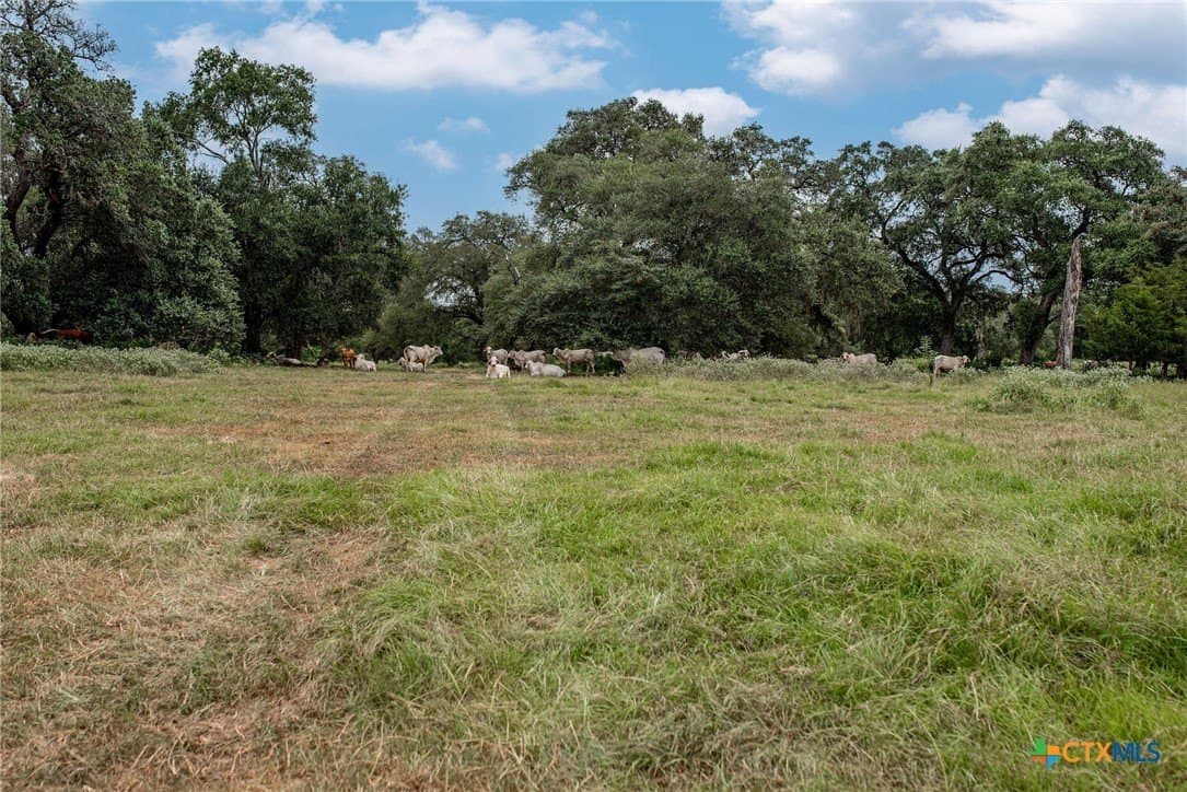 33.98 acres in Lavaca County - photo 6