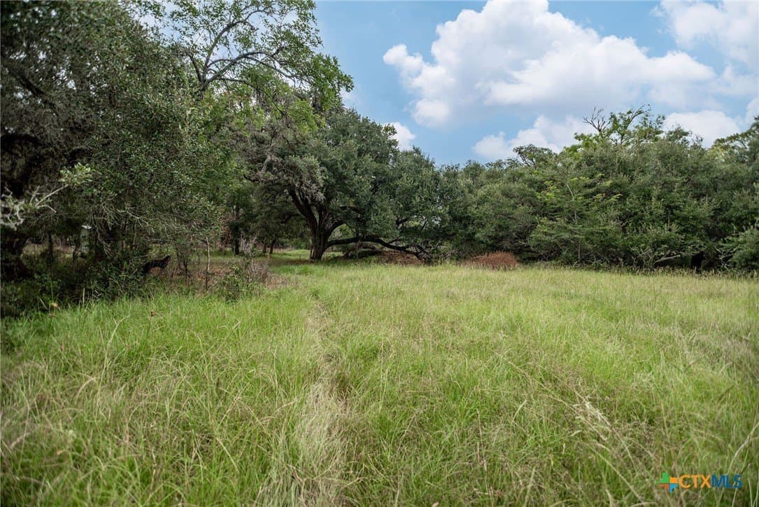 33.98 acres in Lavaca County - photo 14