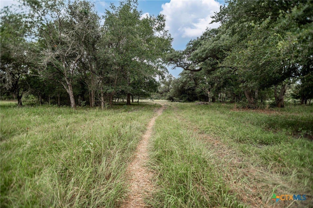 33.98 acres in Lavaca County - photo 7