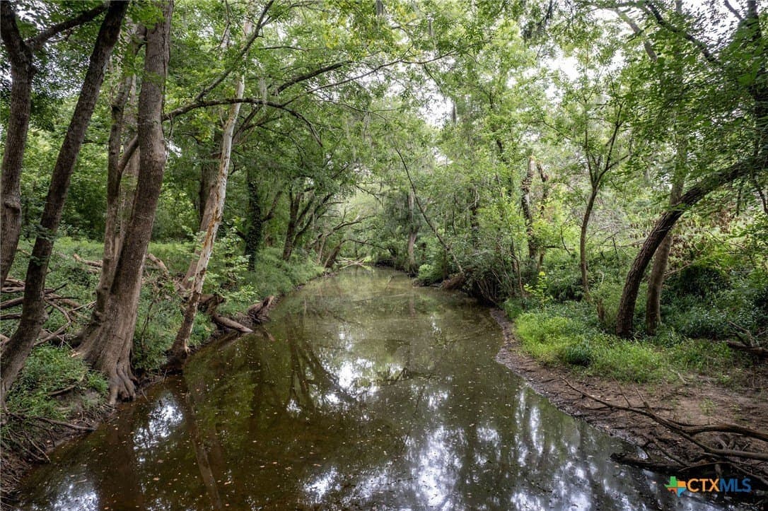 33.98 acres in Lavaca County - photo 2
