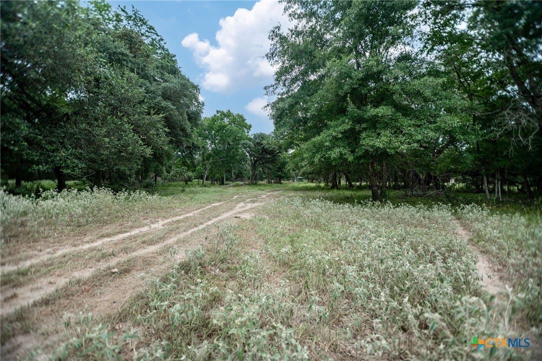 33.98 acres in Lavaca County - photo 17