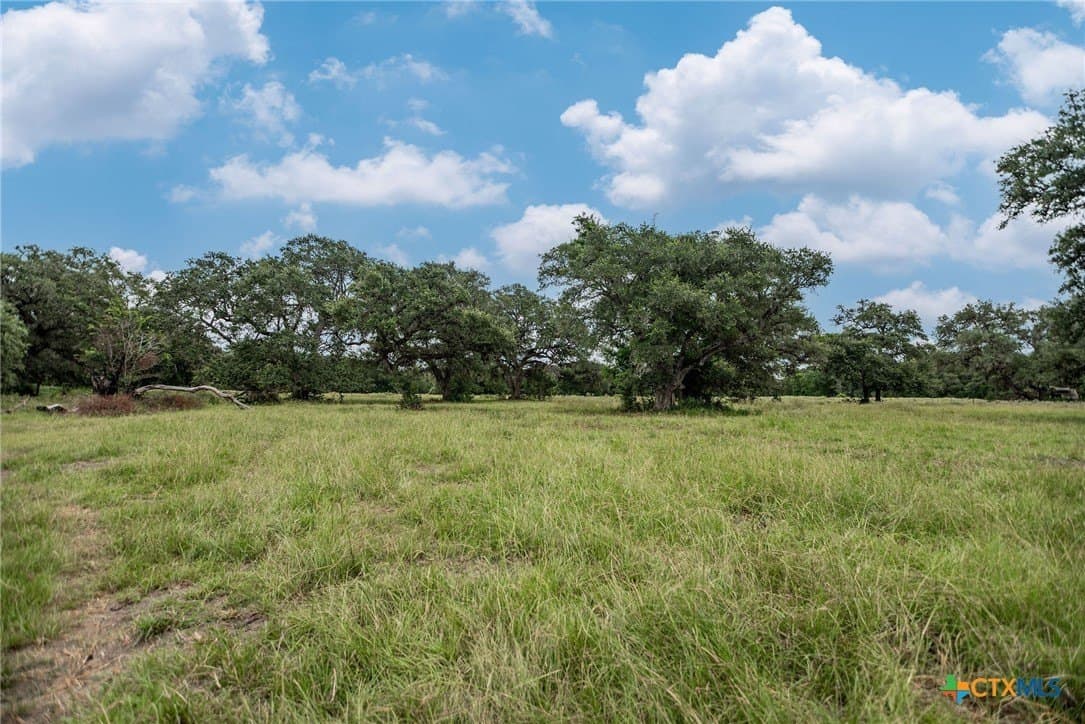 33.98 acres in Lavaca County - photo 15