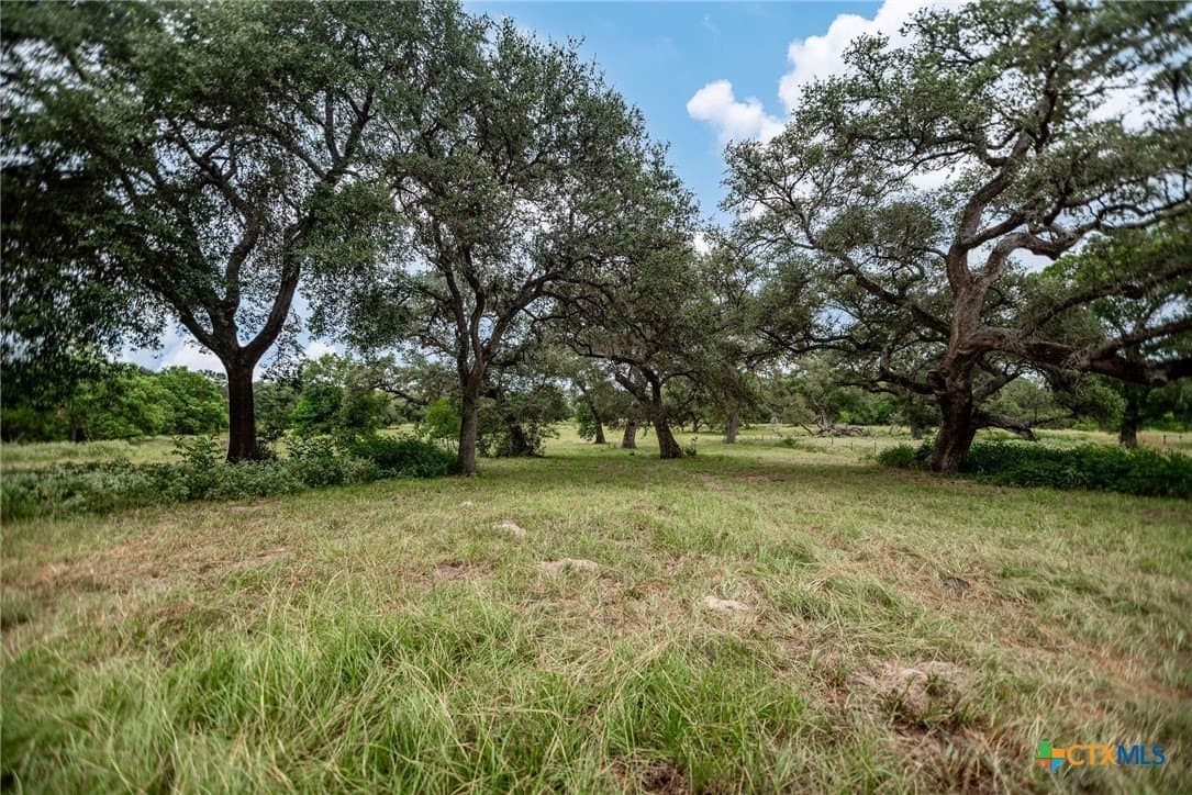 33.98 acres in Lavaca County - photo 4