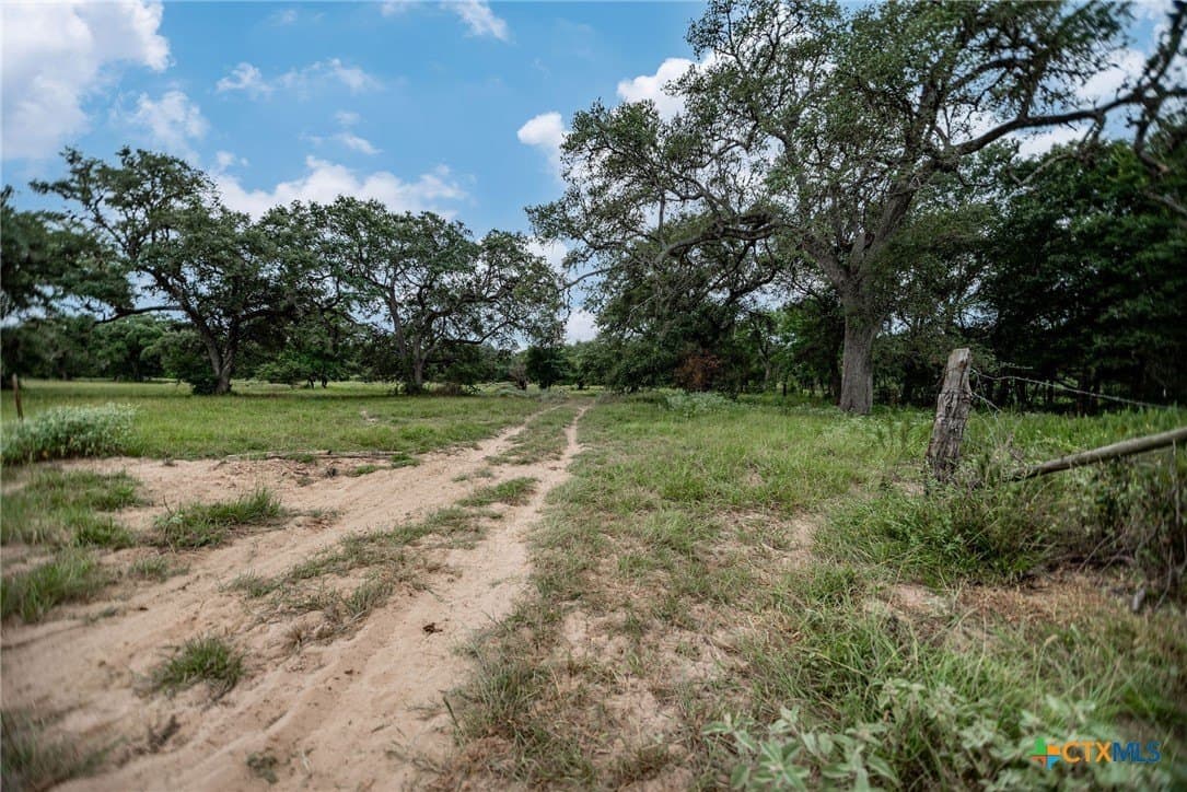 33.98 acres in Lavaca County - photo 5