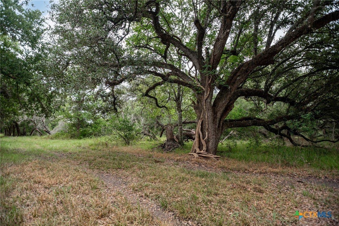 33.98 acres in Lavaca County - photo 3