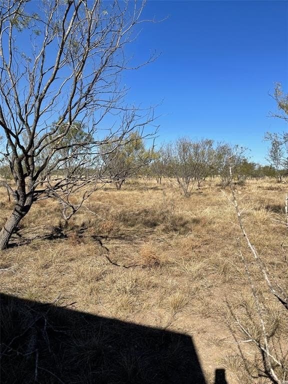 123.8 acres in Brown County - photo 3