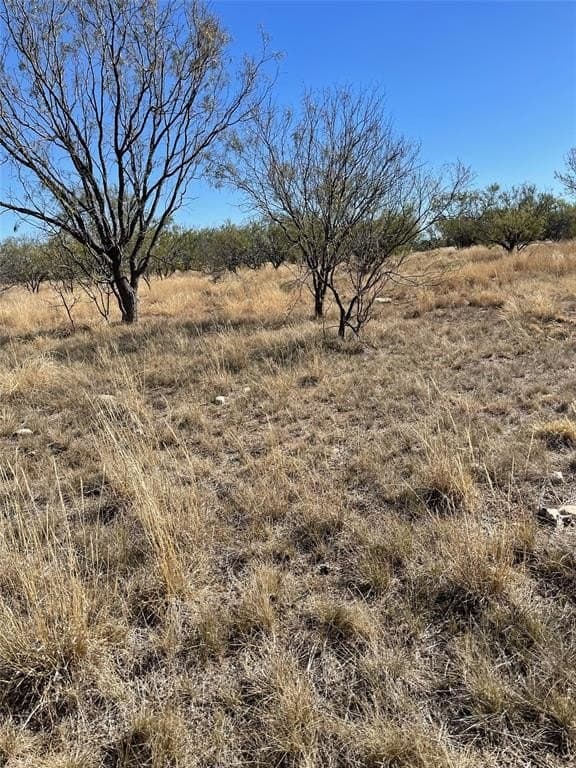 123.8 acres in Brown County - photo 4
