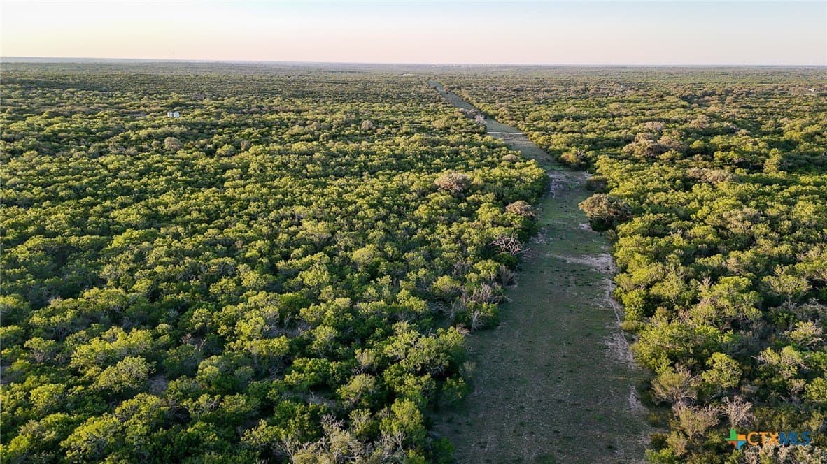 453 acres in Bee County - photo 2