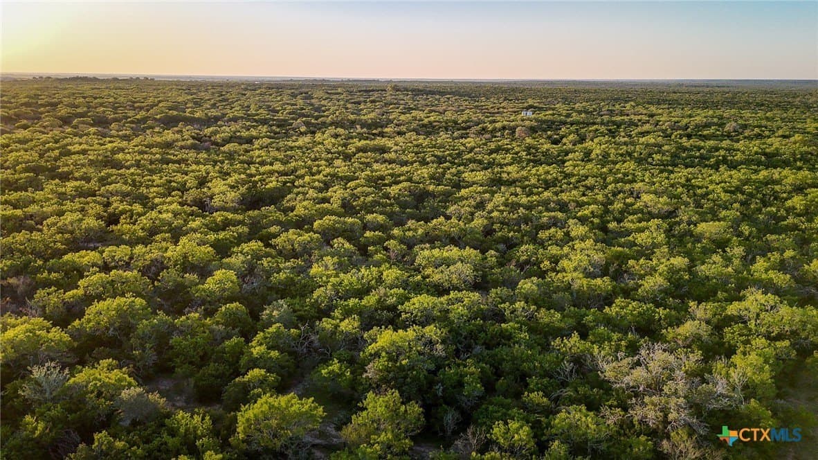 453 acres in Bee County - photo 3
