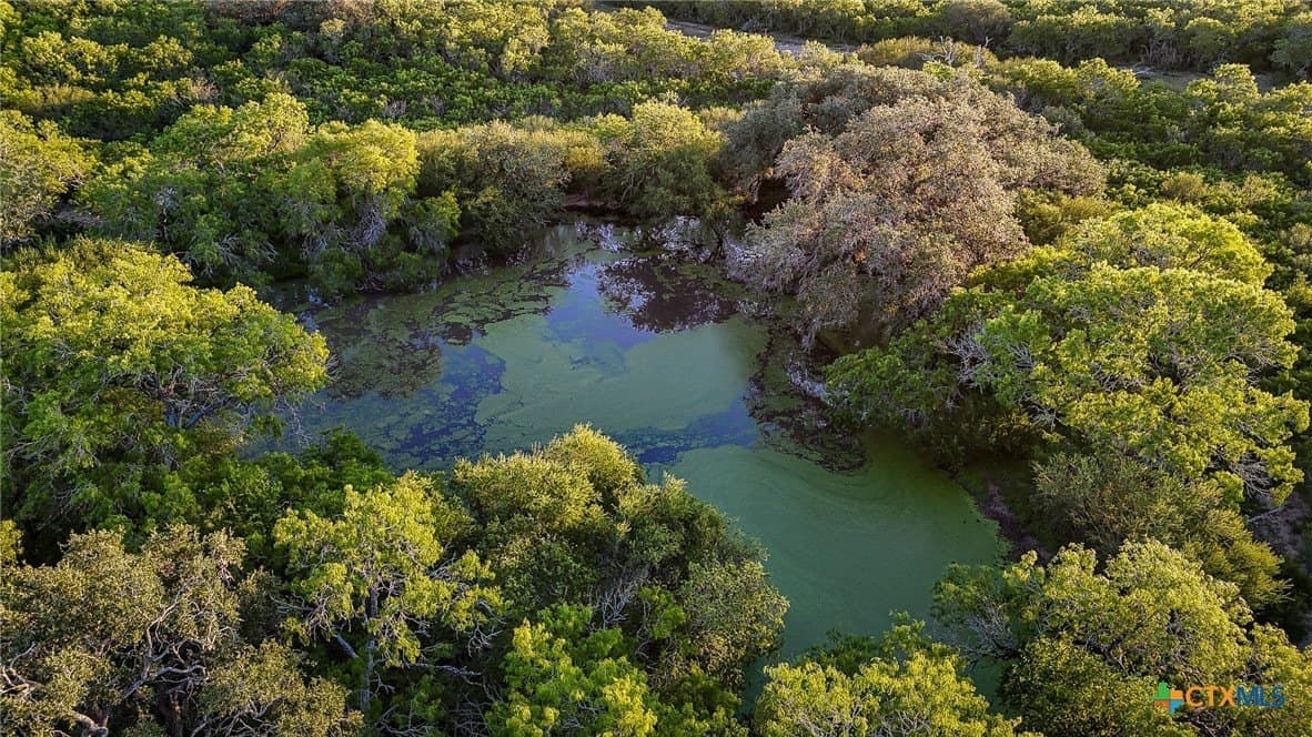 453 acres in Bee County - photo 4