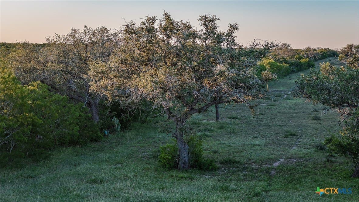 453 acres in Bee County - photo 5
