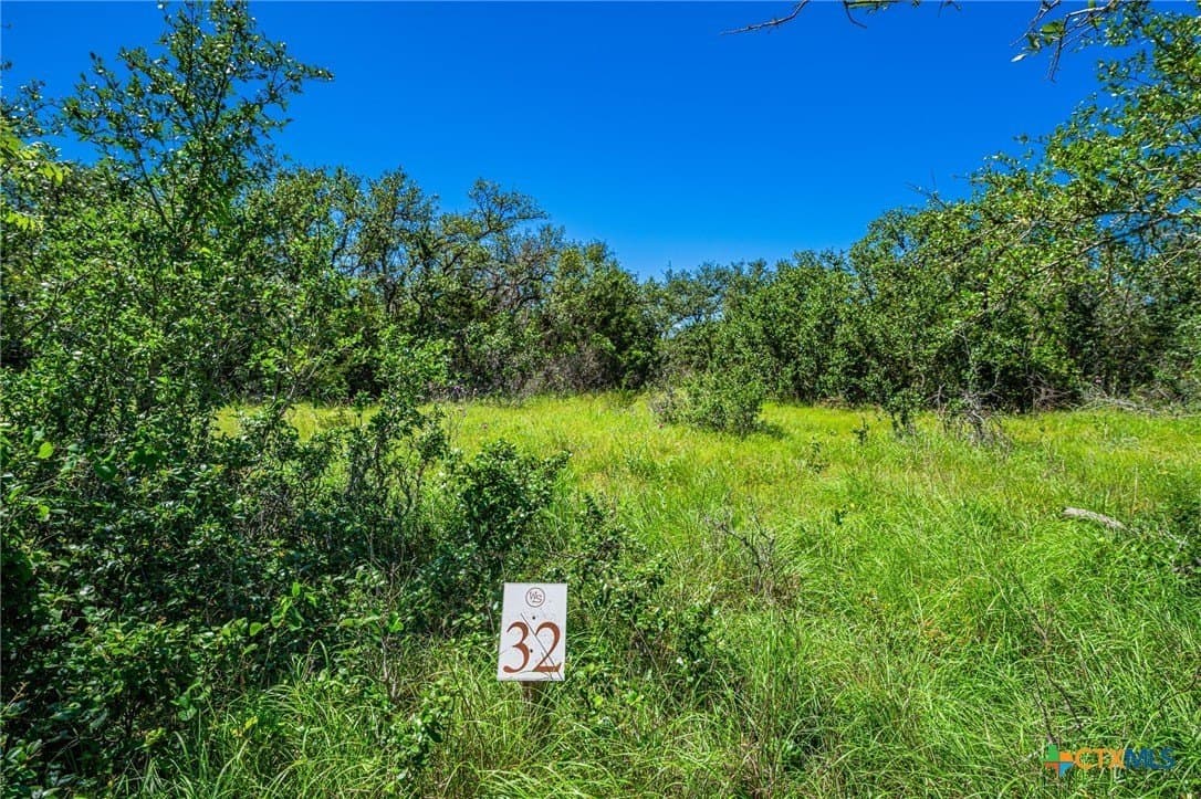 5.45 acres in Blanco County - photo 5