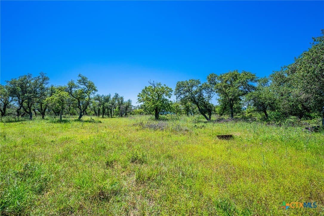 5.45 acres in Blanco County - photo 7