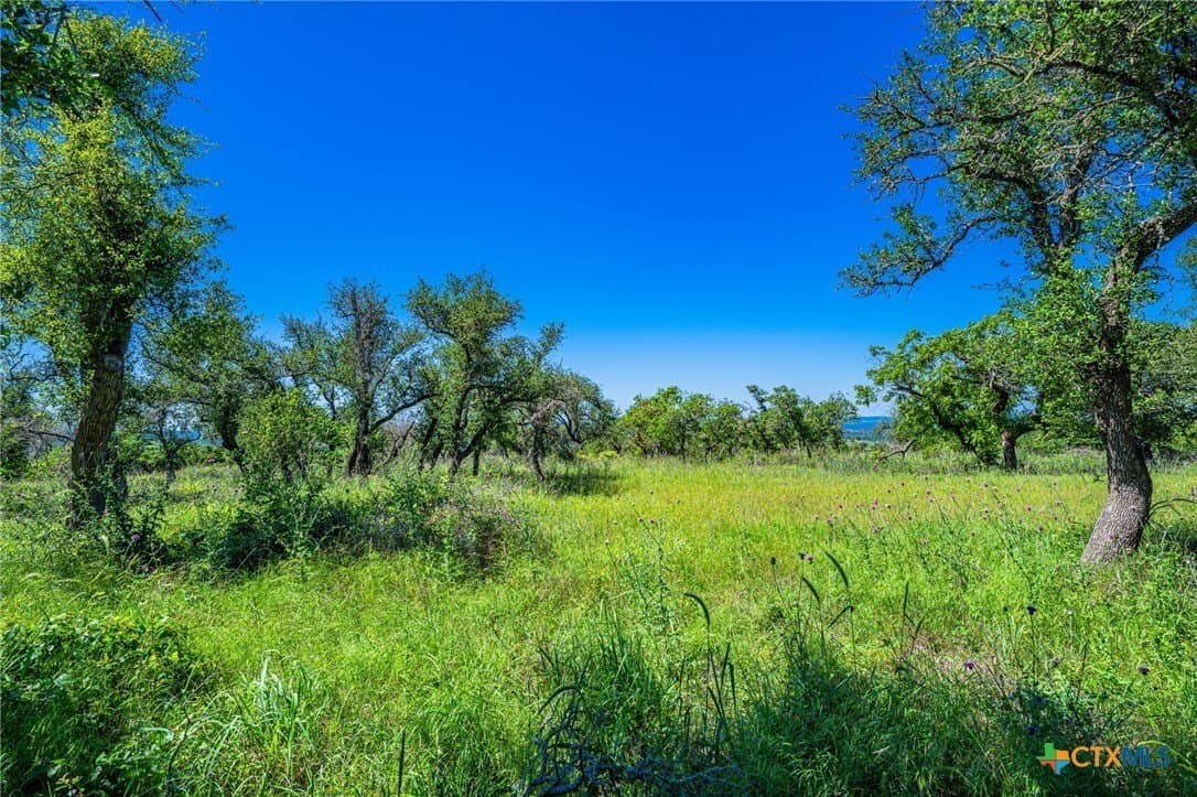 5.45 acres in Blanco County - photo 9