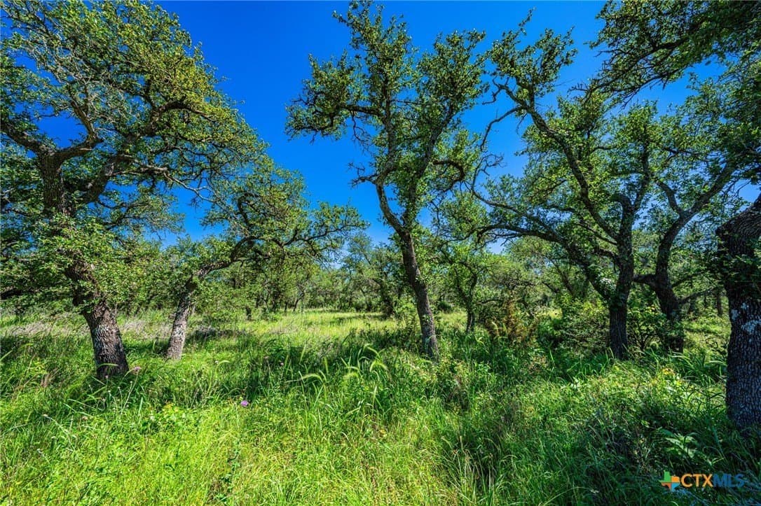 5.45 acres in Blanco County - photo 8