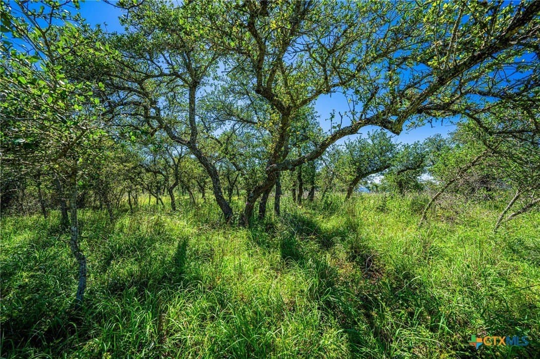 5.45 acres in Blanco County - photo 6