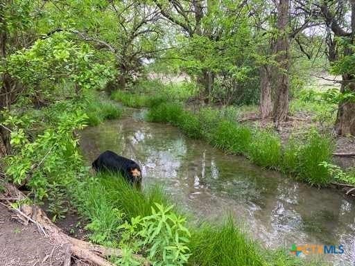 70.78 acres in Coryell County - photo 4