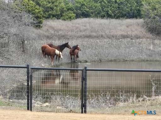 70.78 acres in Coryell County - photo 30