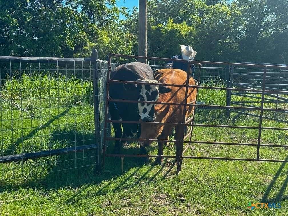 70.78 acres in Coryell County - photo 46