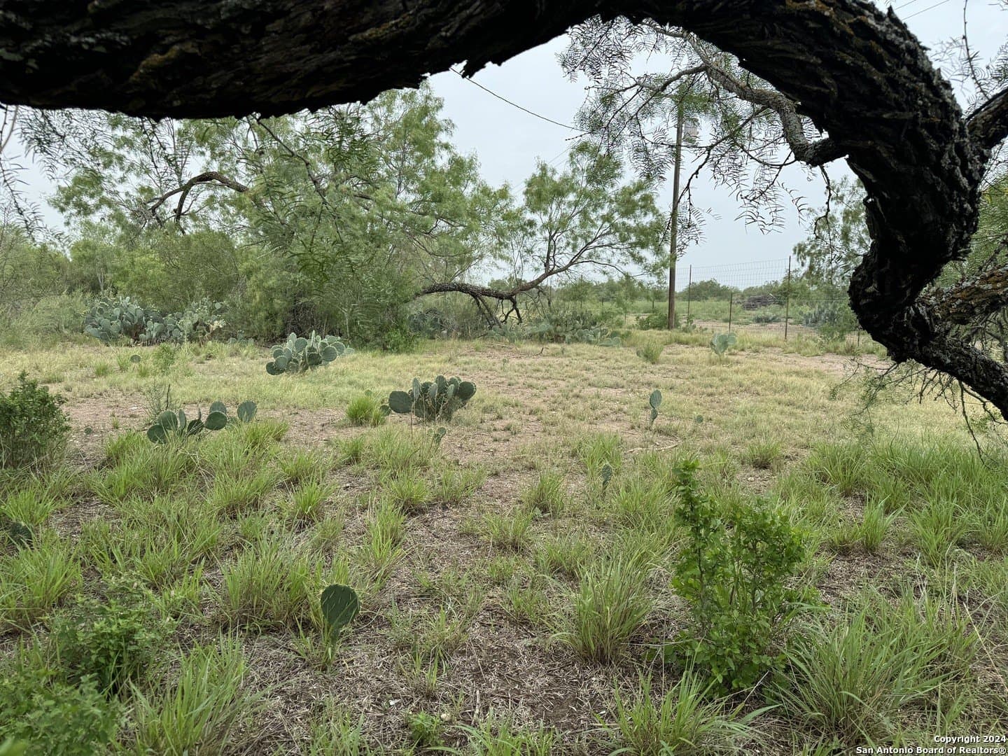 85 acres in Uvalde County - photo 23