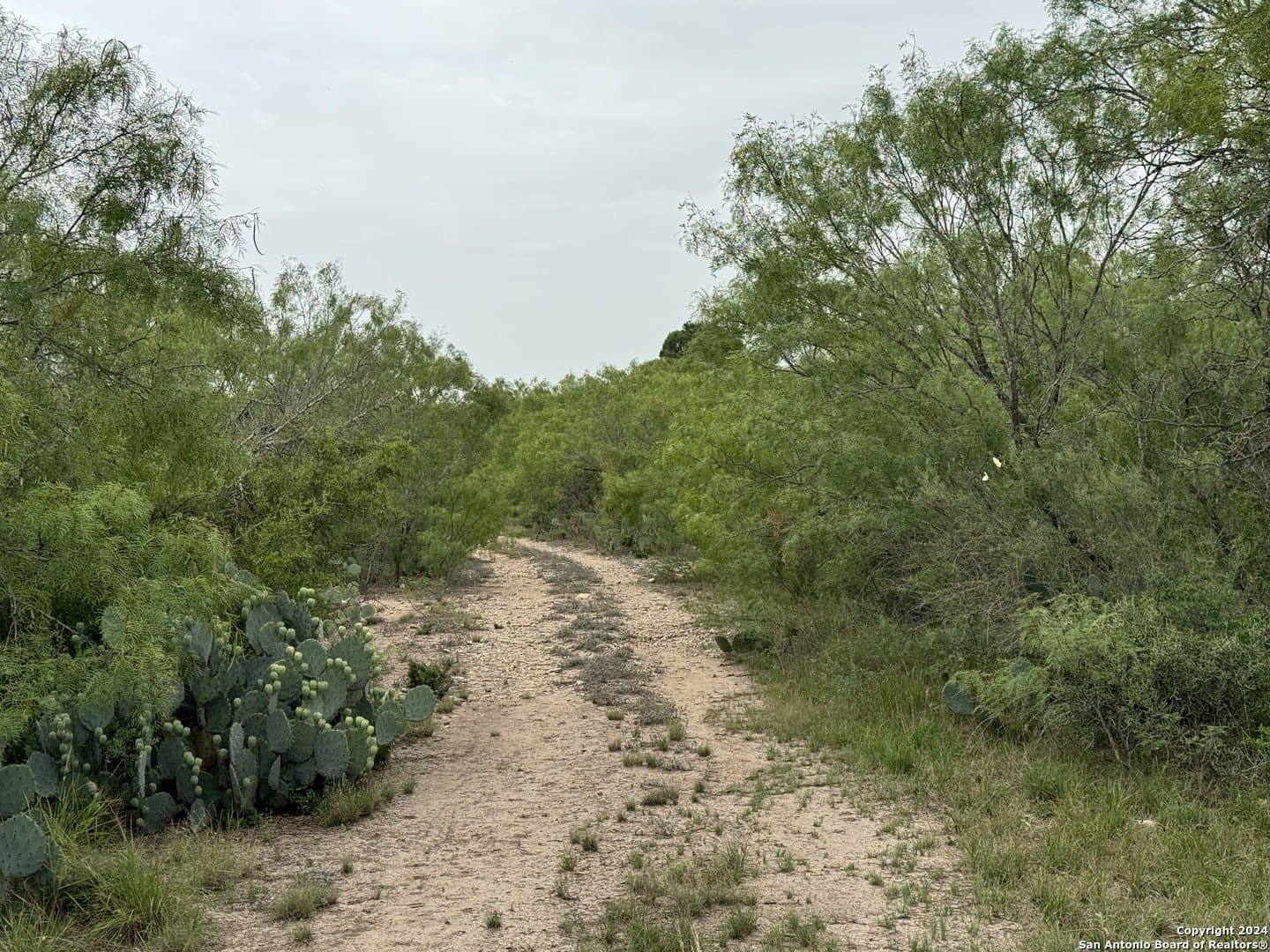 85 acres in Uvalde County - photo 16