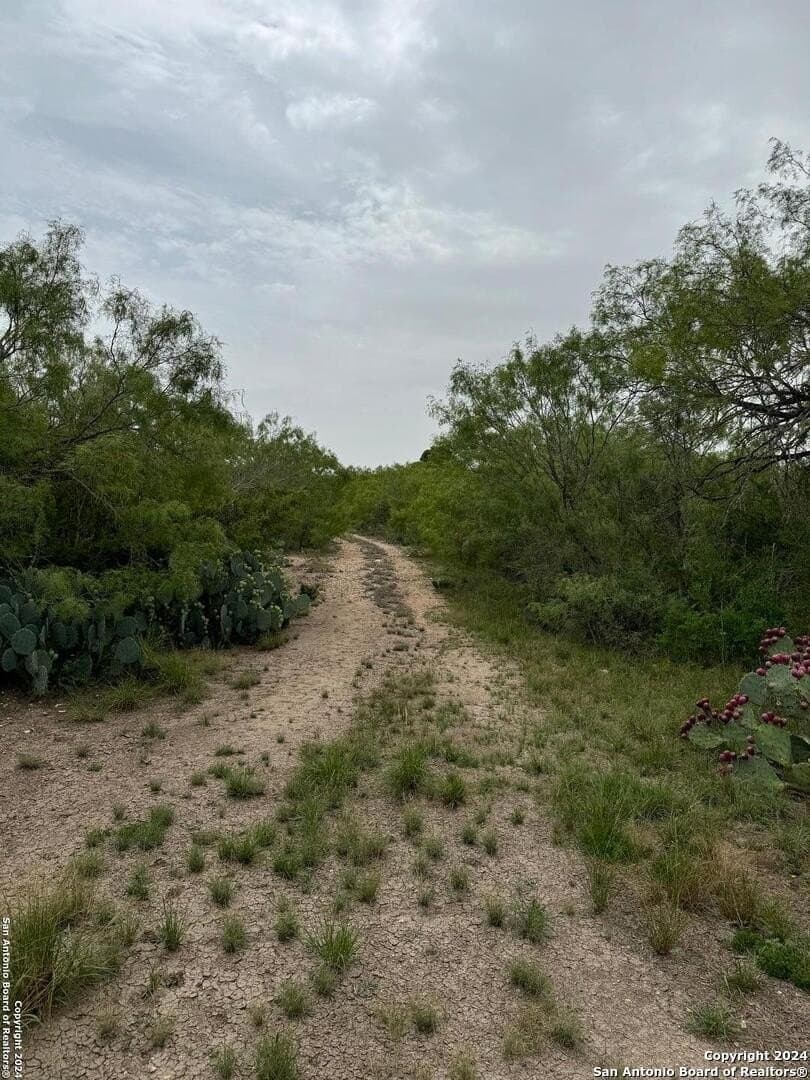 85 acres in Uvalde County - photo 19