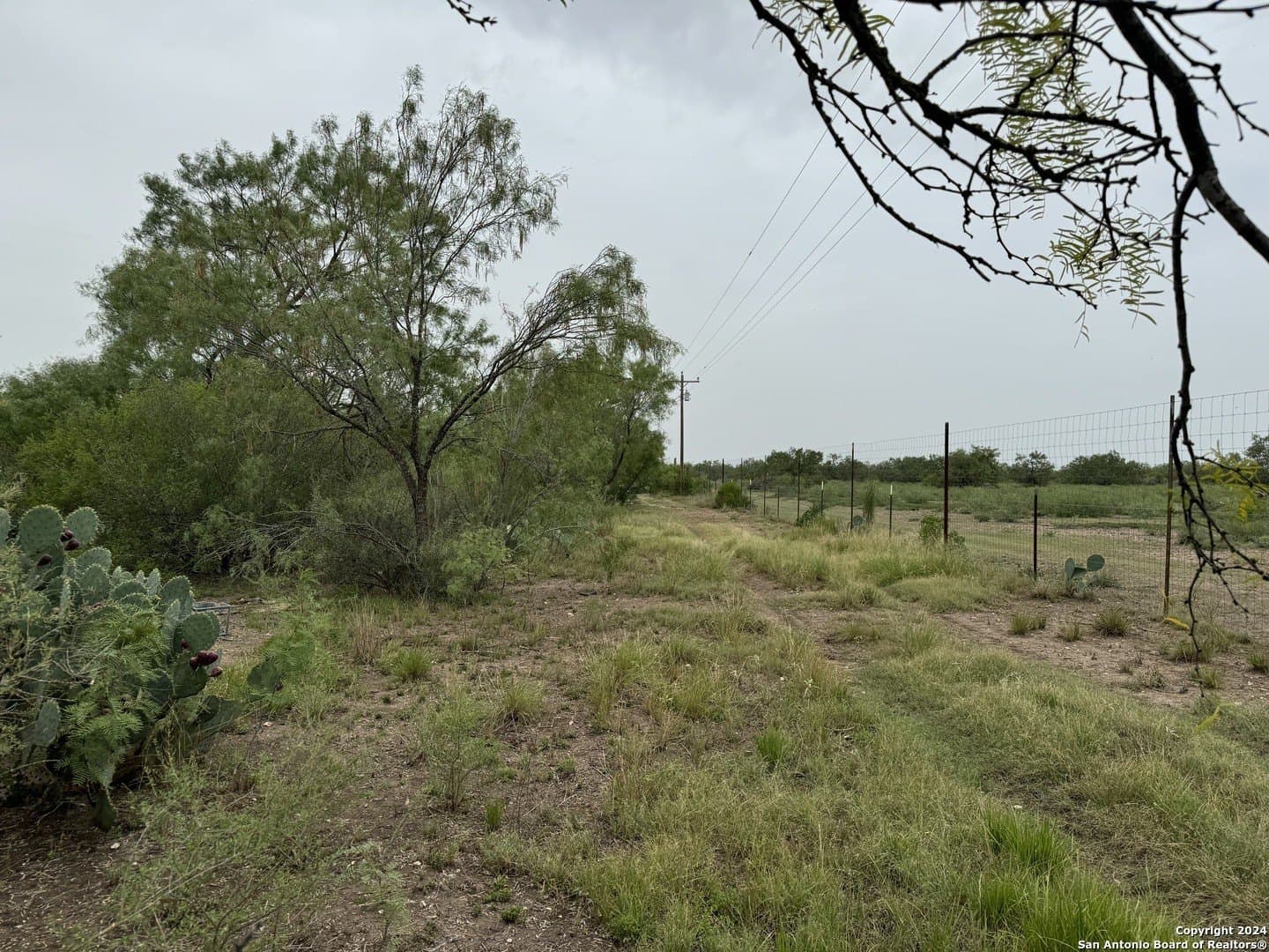 85 acres in Uvalde County - photo 28