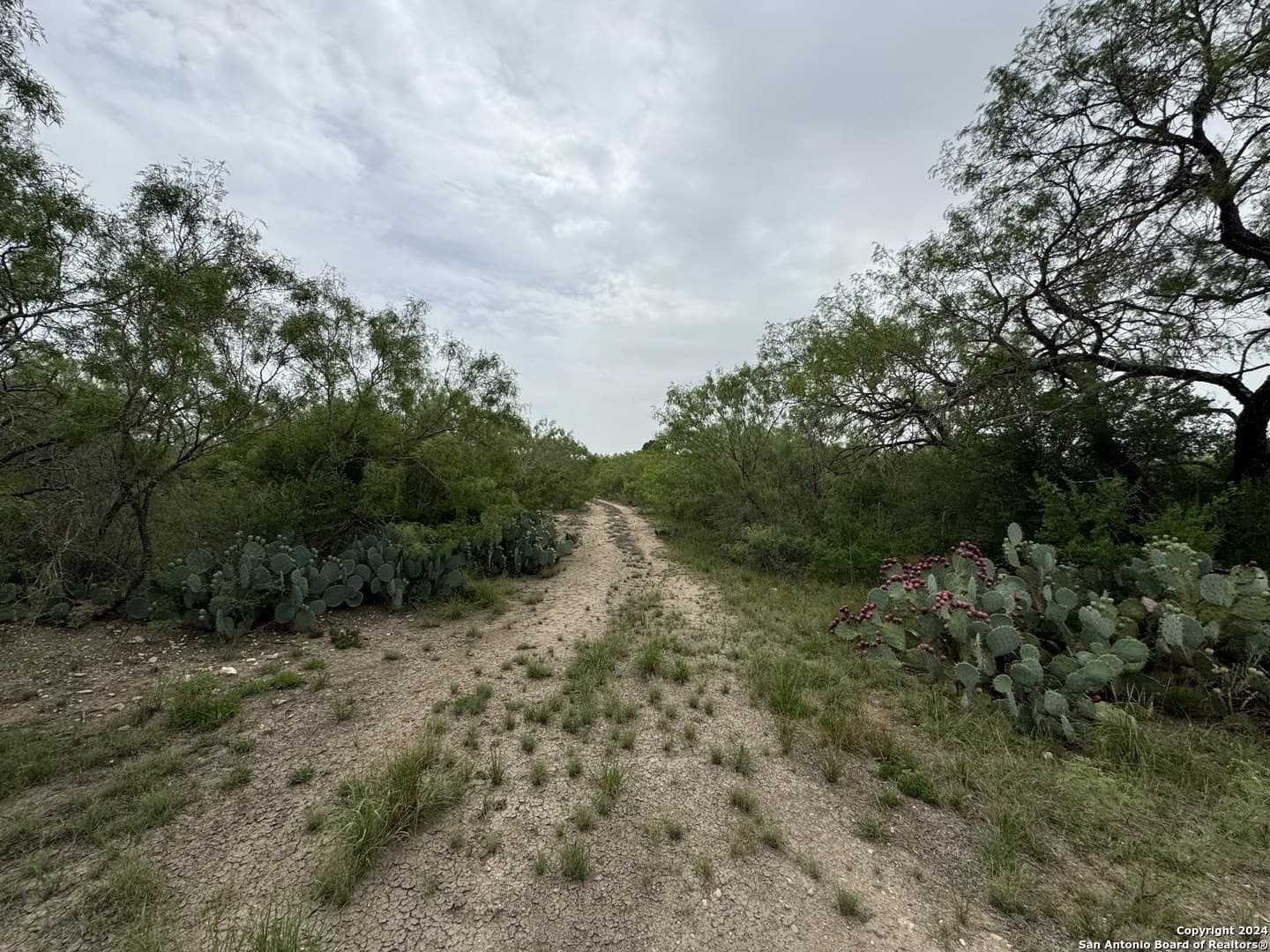 85 acres in Uvalde County - photo 33