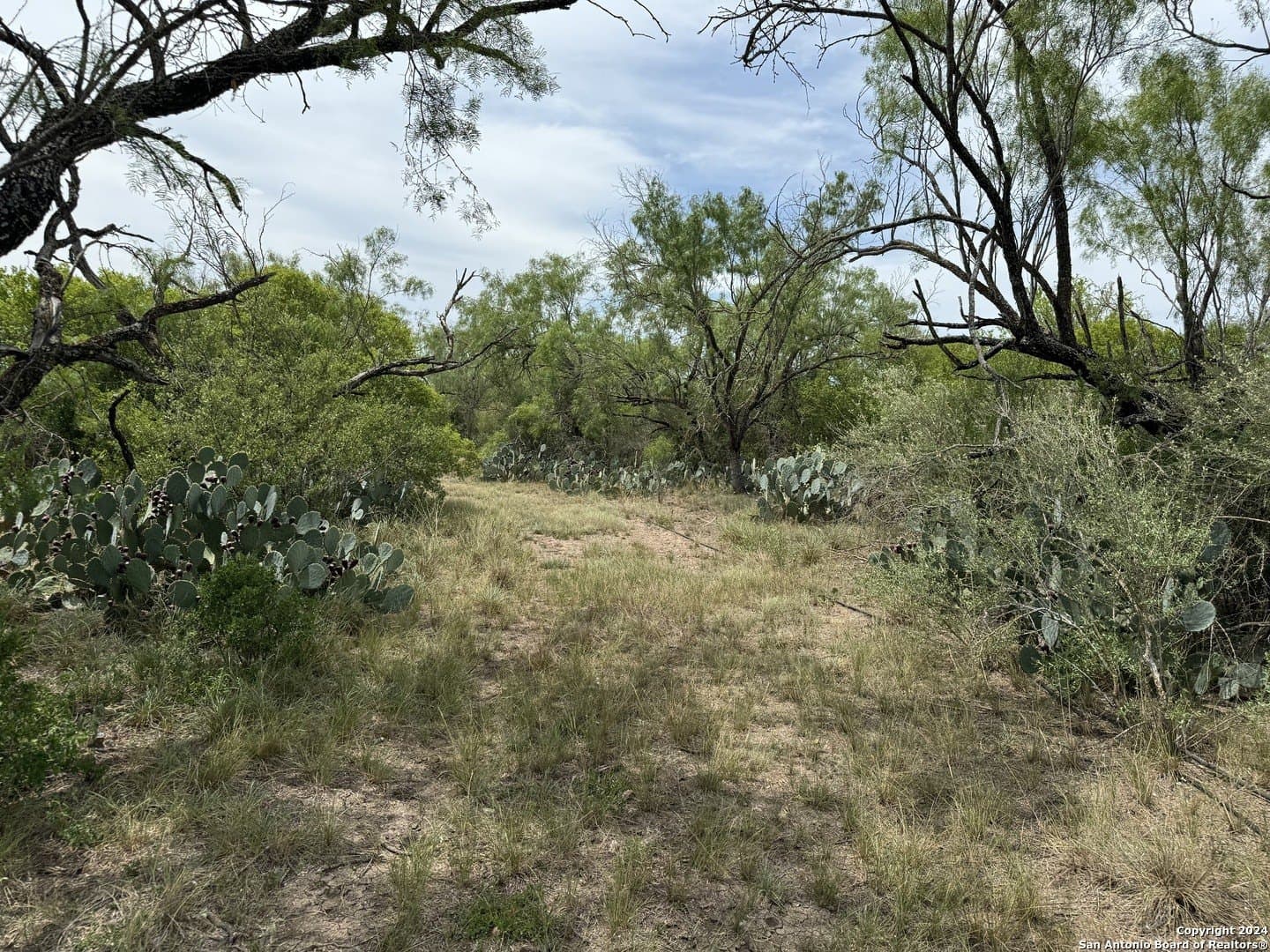85 acres in Uvalde County - photo 32