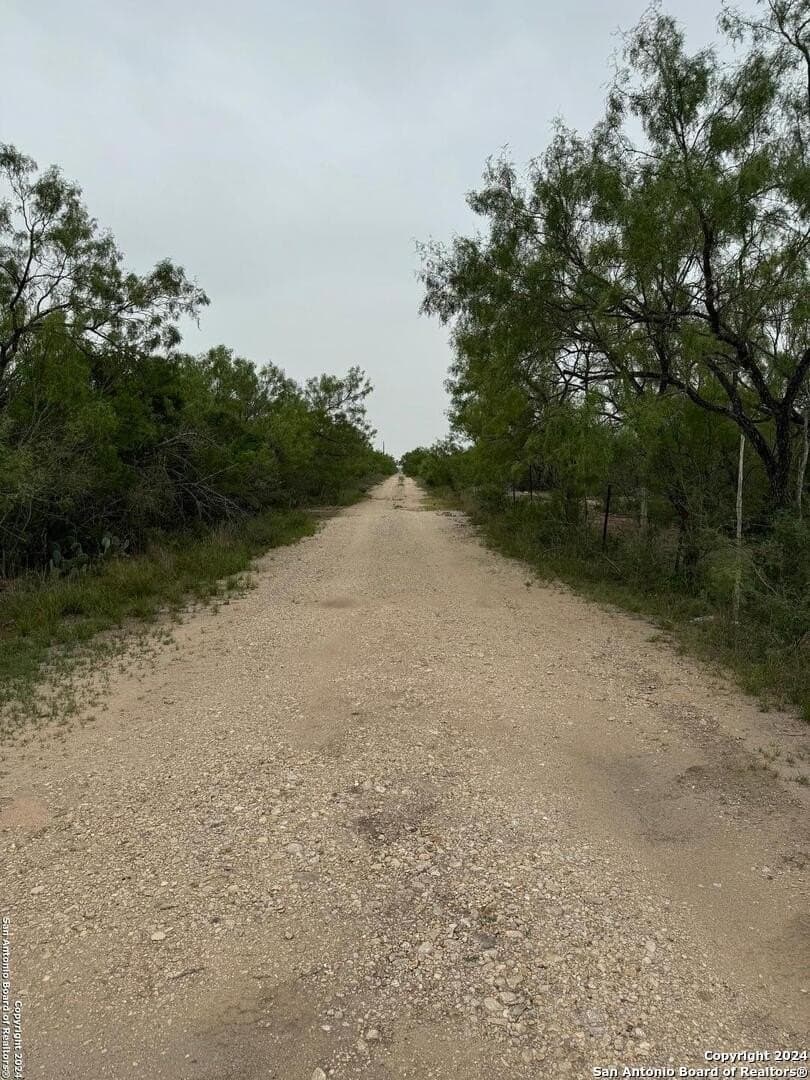 85 acres in Uvalde County - photo 13