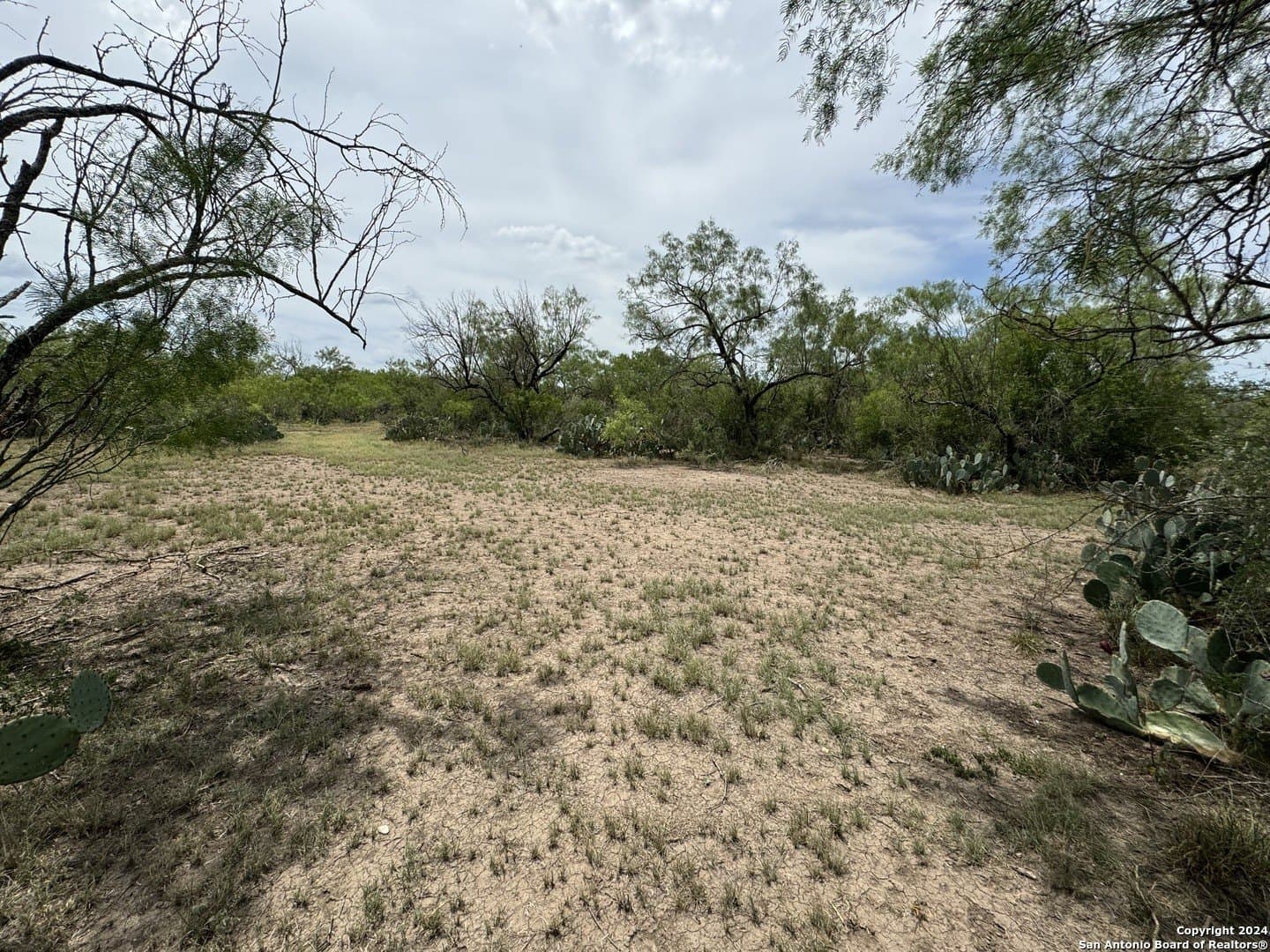 85 acres in Uvalde County - photo 25