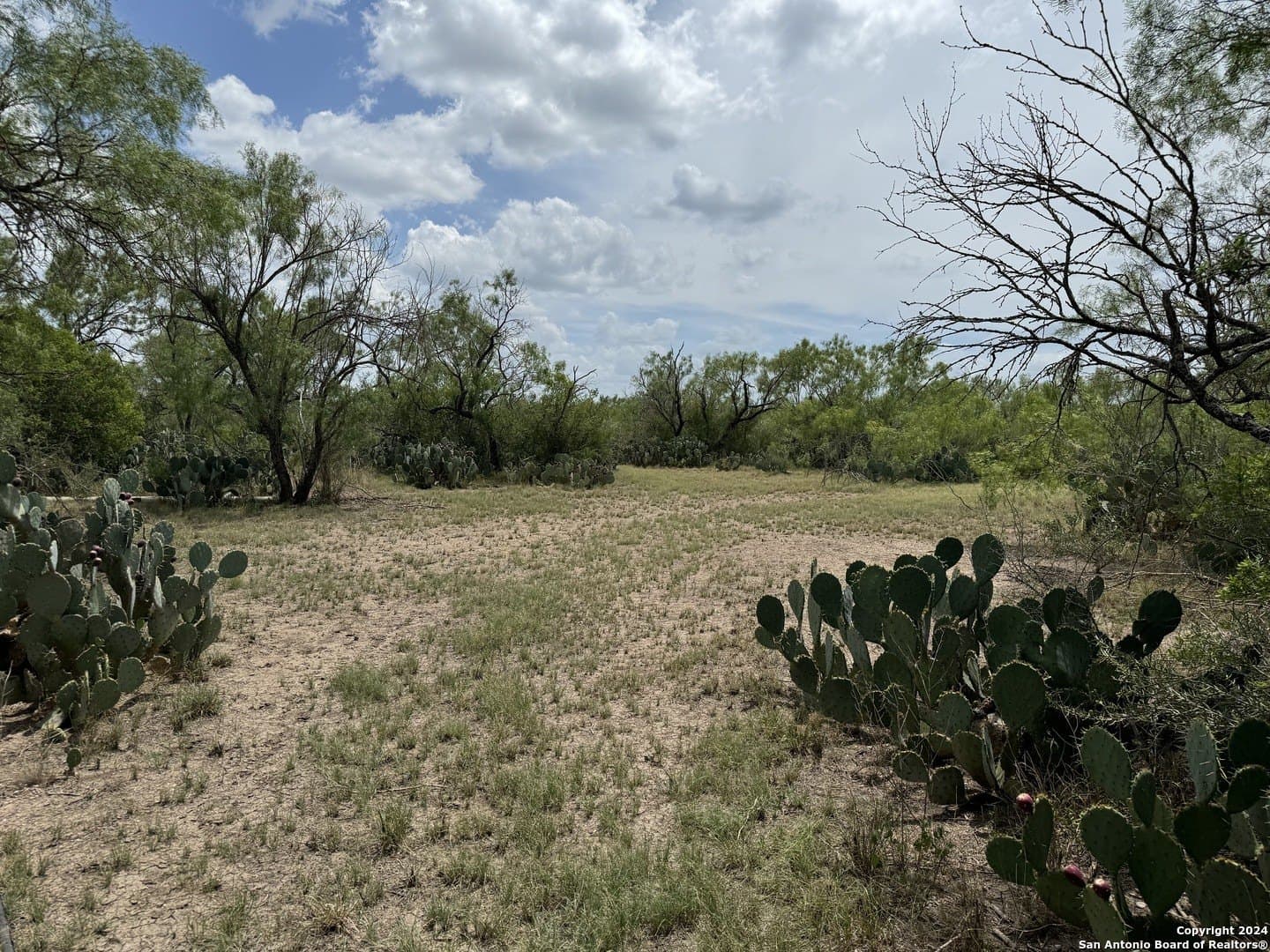 85 acres in Uvalde County - photo 35