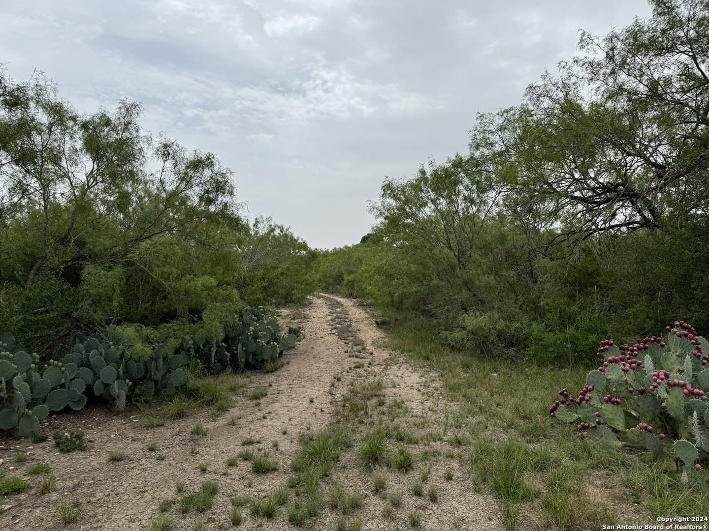 85 acres in Uvalde County - photo 30