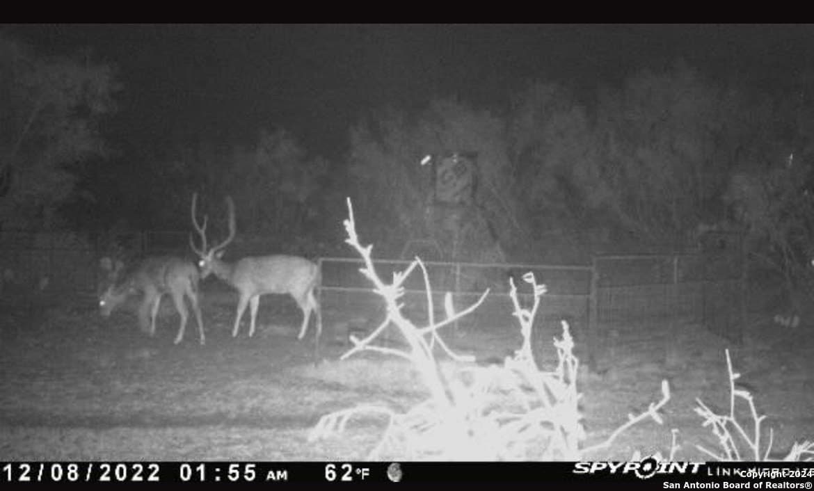 85 acres in Uvalde County - photo 56