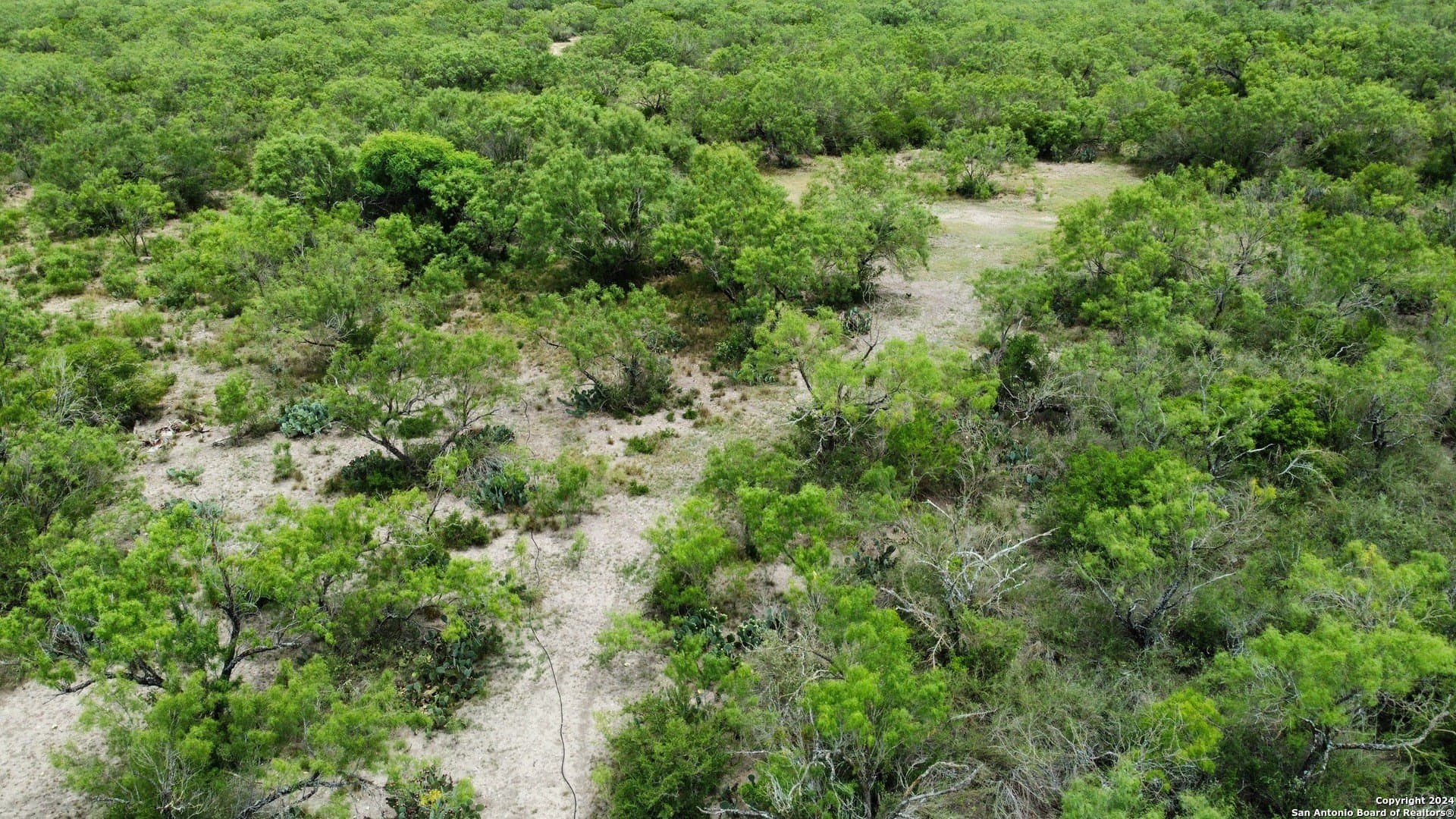 85 acres in Uvalde County - photo 49