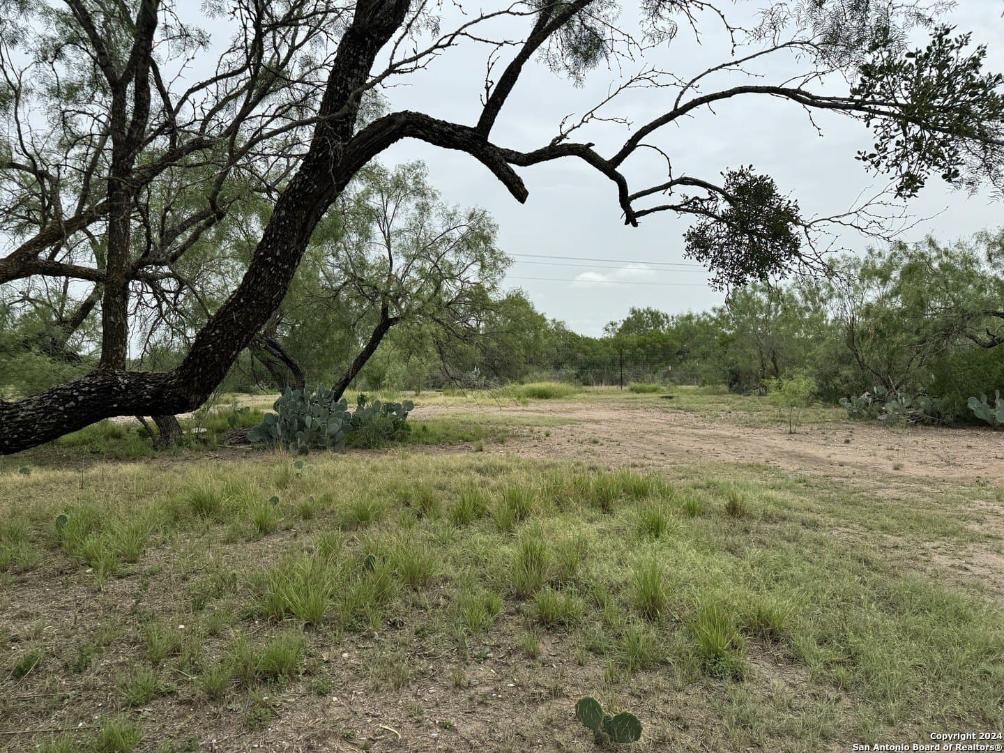 85 acres in Uvalde County - photo 29